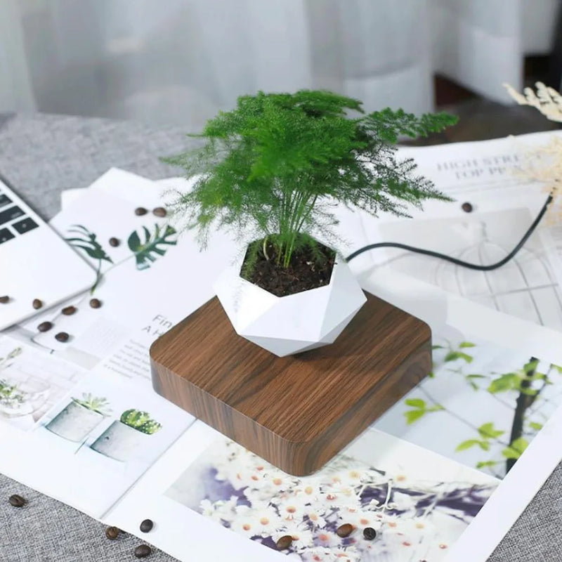 Levitação de ar bonsai pote rotação vaso de flores plantadores suspensão magnética pote flutuante vaso planta casa sem plantas.